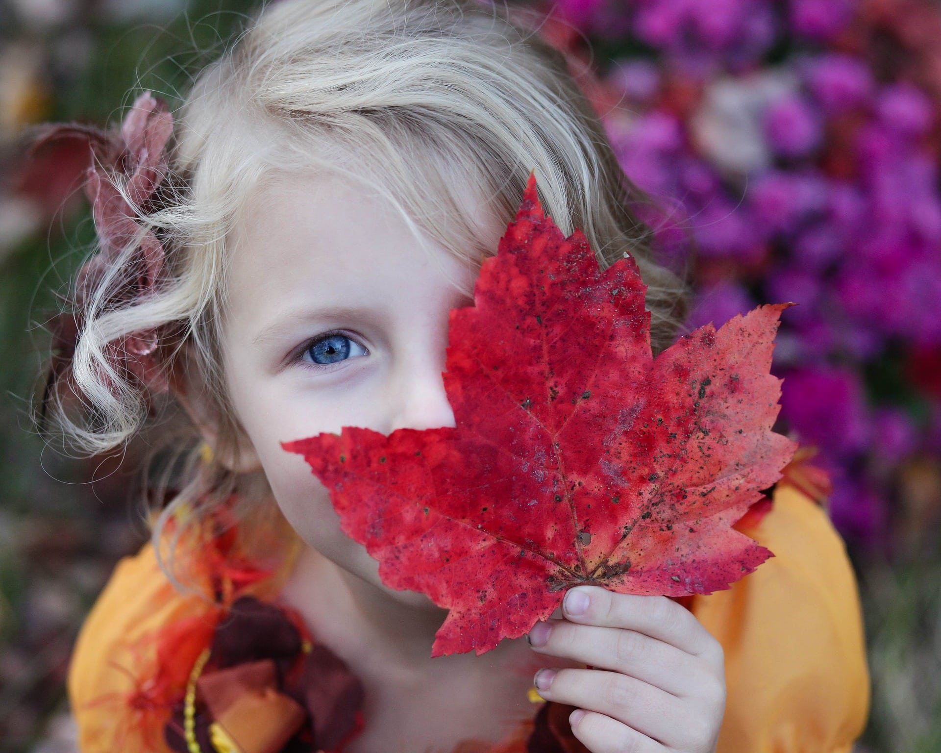 A young girl with blonde hair, who recently moved to Canada from the UK, holds a red autumn leaf to her face, revealing one blue eye, with a background of colorful foliage.
